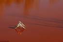 42Disparand_ca_in_Triunghiul_Bermudelor