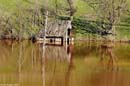 43Deschide_geamul_sa_intre_lacul