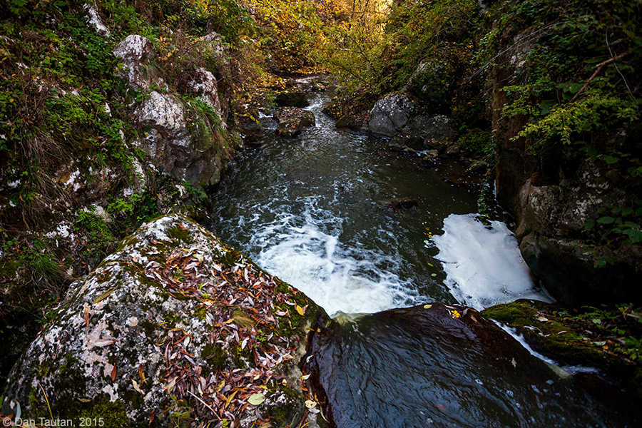 17_MG_3200_