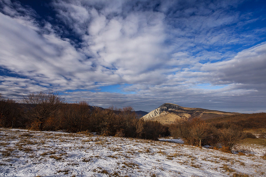_MG_0595_
