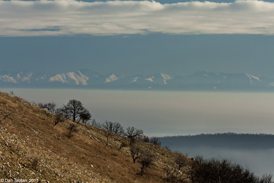 _MG_0619_