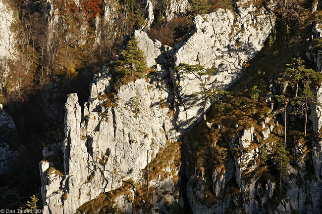22In_comuniune_cu_stanca